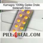 Kamagra 100Mg Gelée Orale Sildénafil 5Gm new11